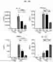 Fig. 07 - HUMAN RESISTIN COMPOSITIONS AND METHODS OF TREATING TLR4-MEDIATED DISEASE AND INFECTION