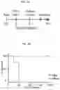 Fig. 09 - HUMAN RESISTIN COMPOSITIONS AND METHODS OF TREATING TLR4-MEDIATED DISEASE AND INFECTION