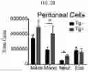 Fig. 15 - HUMAN RESISTIN COMPOSITIONS AND METHODS OF TREATING TLR4-MEDIATED DISEASE AND INFECTION