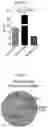 Fig. 19 - HUMAN RESISTIN COMPOSITIONS AND METHODS OF TREATING TLR4-MEDIATED DISEASE AND INFECTION