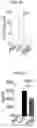 Fig. 24 - HUMAN RESISTIN COMPOSITIONS AND METHODS OF TREATING TLR4-MEDIATED DISEASE AND INFECTION