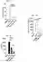 Fig. 26 - HUMAN RESISTIN COMPOSITIONS AND METHODS OF TREATING TLR4-MEDIATED DISEASE AND INFECTION