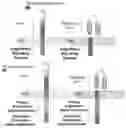 Fig. 01 - CHIMERIC ENGULFMENT RECEPTOR MOLECULES