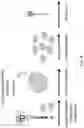 Fig. 06 - CHIMERIC ENGULFMENT RECEPTOR MOLECULES
