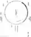 Fig. 151 - CHIMERIC ENGULFMENT RECEPTOR MOLECULES