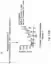 Fig. 158 - CHIMERIC ENGULFMENT RECEPTOR MOLECULES