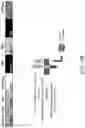 Fig. 34 - CHIMERIC ENGULFMENT RECEPTOR MOLECULES