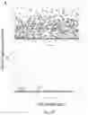 Fig. 47 - CHIMERIC ENGULFMENT RECEPTOR MOLECULES