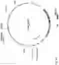 Fig. 65 - CHIMERIC ENGULFMENT RECEPTOR MOLECULES