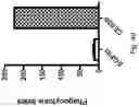 Fig. 71 - CHIMERIC ENGULFMENT RECEPTOR MOLECULES