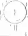 Fig. 82 - CHIMERIC ENGULFMENT RECEPTOR MOLECULES
