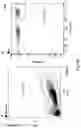 Fig. 83 - CHIMERIC ENGULFMENT RECEPTOR MOLECULES
