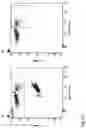 Fig. 89 - CHIMERIC ENGULFMENT RECEPTOR MOLECULES