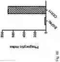 Fig. 91 - CHIMERIC ENGULFMENT RECEPTOR MOLECULES