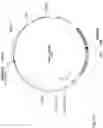 Fig. 96 - CHIMERIC ENGULFMENT RECEPTOR MOLECULES