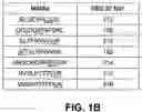 Fig. 03 - NOVEL MINOR HISTOCOMPATIBILITY ANTIGENS AND USES THEREOF