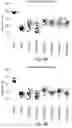 Fig. 09 - Methods for the treatment of neurodegeneration