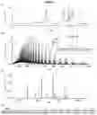 Fig. 10 - Antibody preparation