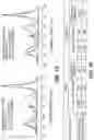 Fig. 10 - HUMANIZED ANTIBODY