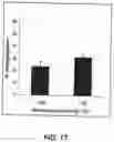 Fig. 33 - HUMANIZED ANTIBODY