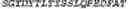 Fig. 13 - NaPi2b-targeted polymer antibody-drug conjugates and methods of use thereof