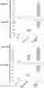 Fig. 08 - THERAPEUTIC AGENTS AND USE THEREOF