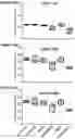 Fig. 14 - THERAPEUTIC AGENTS AND USE THEREOF