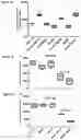 Fig. 15 - THERAPEUTIC AGENTS AND USE THEREOF