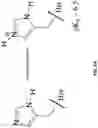 Fig. 05 - Antibodies binding to VISTA at acidic pH