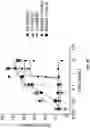 Fig. 32 - Antibodies binding to VISTA at acidic pH