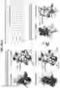 Fig. 102 - Anti-MIC antibodies and methods of use
