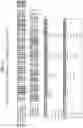Fig. 14 - Anti-MIC antibodies and methods of use