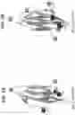 Fig. 15 - Anti-MIC antibodies and methods of use