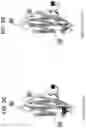 Fig. 16 - Anti-MIC antibodies and methods of use