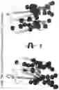 Fig. 22 - Anti-MIC antibodies and methods of use