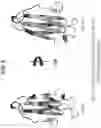 Fig. 23 - Anti-MIC antibodies and methods of use
