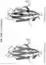 Fig. 27 - Anti-MIC antibodies and methods of use