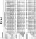 Fig. 40 - Anti-MIC antibodies and methods of use