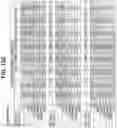 Fig. 42 - Anti-MIC antibodies and methods of use