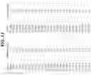 Fig. 43 - Anti-MIC antibodies and methods of use