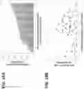 Fig. 44 - Anti-MIC antibodies and methods of use