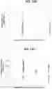 Fig. 46 - Anti-MIC antibodies and methods of use