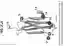 Fig. 48 - Anti-MIC antibodies and methods of use