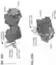 Fig. 53 - Anti-MIC antibodies and methods of use