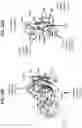 Fig. 56 - Anti-MIC antibodies and methods of use