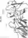 Fig. 60 - Anti-MIC antibodies and methods of use