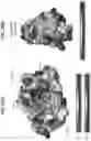 Fig. 61 - Anti-MIC antibodies and methods of use