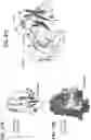 Fig. 62 - Anti-MIC antibodies and methods of use