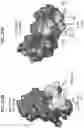 Fig. 63 - Anti-MIC antibodies and methods of use