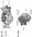 Fig. 66 - Anti-MIC antibodies and methods of use